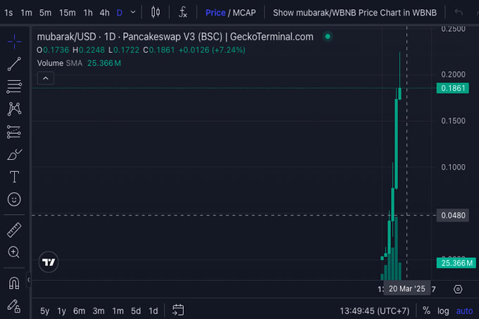 Mubarak Meme Coin 在币安创始人 CZ 的意外投资后飙升