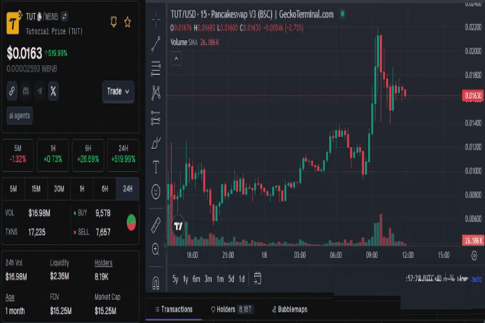 迪拜王室百亿押注!BSC 链三大黑马疯涨 200%,下一个百倍金狗是它？