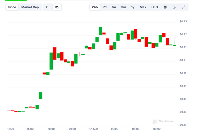 六翼天使的崛起（SERAPH）:了解最新的价格上涨和市场影响