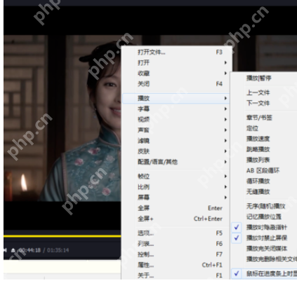 PotPlayer怎么设置进度条显示时间？