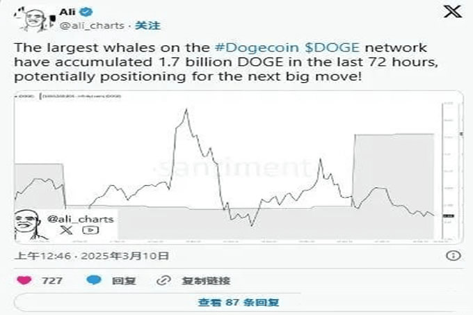 特朗 普加密储备助力狗狗币（DOGE）崛起,2025年能否创下新高？