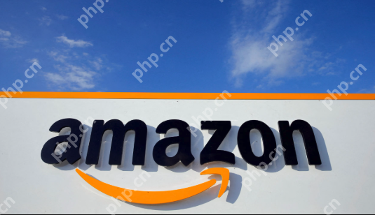 亚马逊国际站官网入口 亚马逊amazon国际站官网首页入口 - 菜鸟