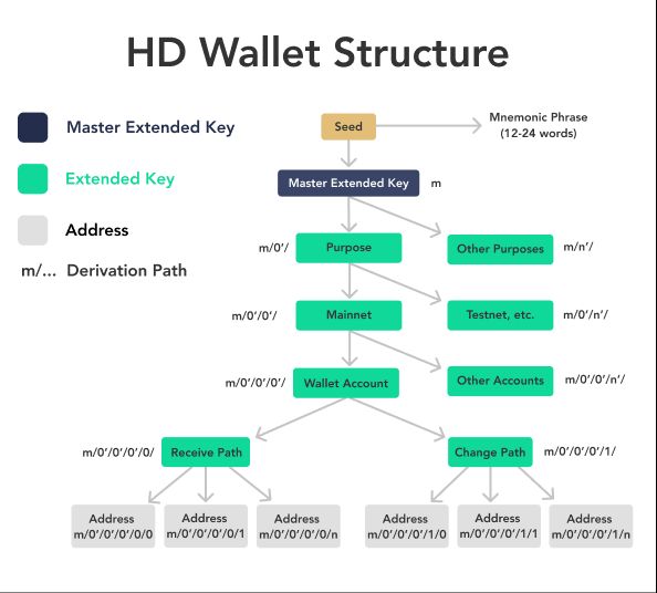 币圈新手如何找回丢失的加密wallet？比特币wallet找回指南