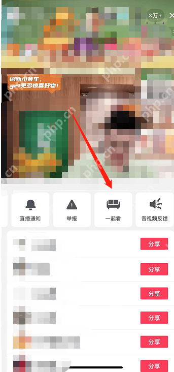 抖音一起看直播功能在哪