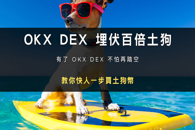 OKX DEX 埋伏百倍土狗,如何使用OKX DEX 购买土狗币？图文教程