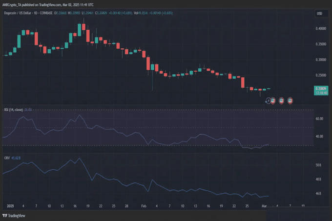 狗狗币（DOGE）迎来鲸鱼大举买入,未来能否逆转跌势？