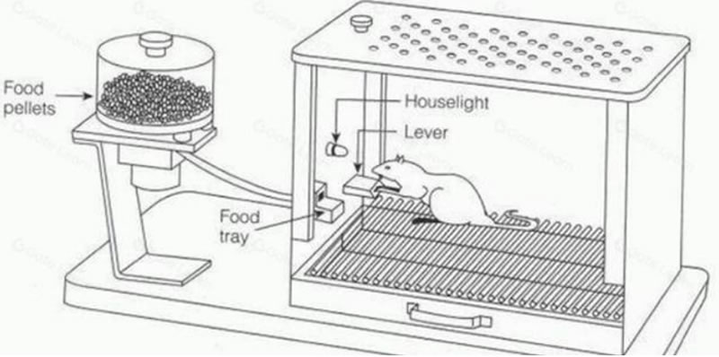 币圈合约交易为何如此吸引人？合约交易新手学习指南