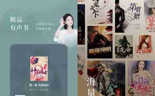 番茄小说耳机不能控制开始停止