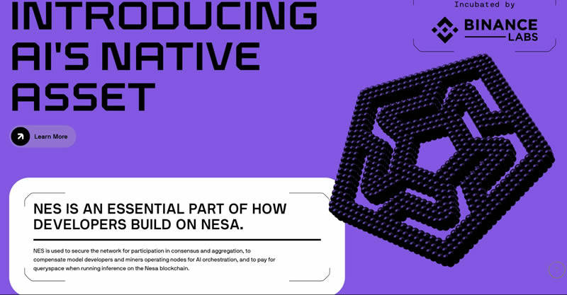 Nesa Network(NES)币是什么？如何运作？NES币值得投资吗？