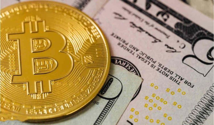 wallet的私钥在哪里看？如何导出？wallet的私钥查看和导出方法