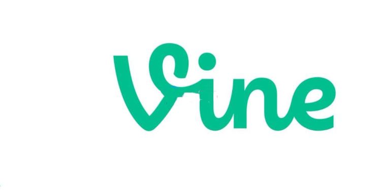 VINE币上的什么交易所？怎么买？VINE币交易所购买教程
