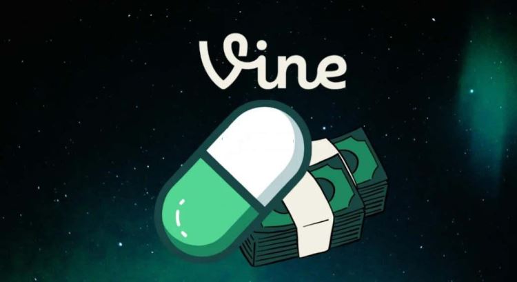 VINE币是谁发行的？买现货能赚吗？