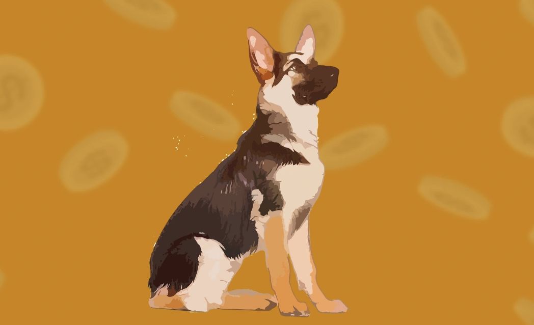 在哪购买BROCCOLI币?如何购买BROCCOLI币(CZ'S Dog)