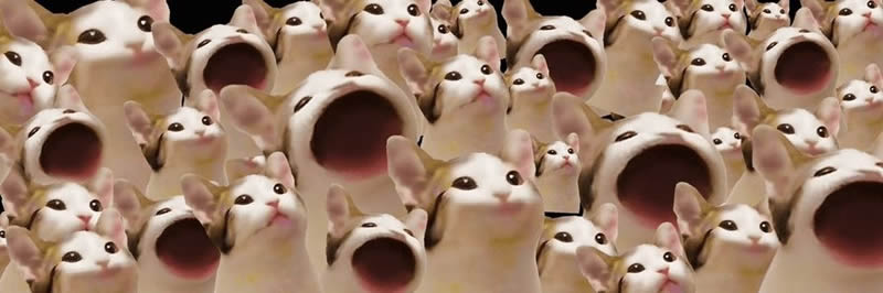 POPCAT币日内大涨超25%,POPCAT币未来前景如何？