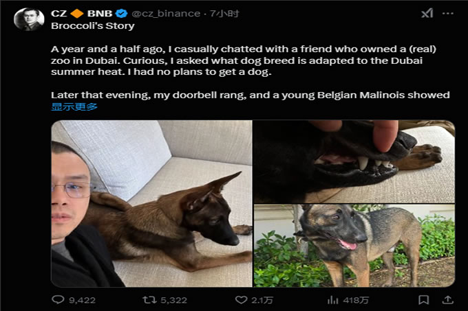 CZ爱犬Broccoli引发链上meme大战,哪些币值得冲？