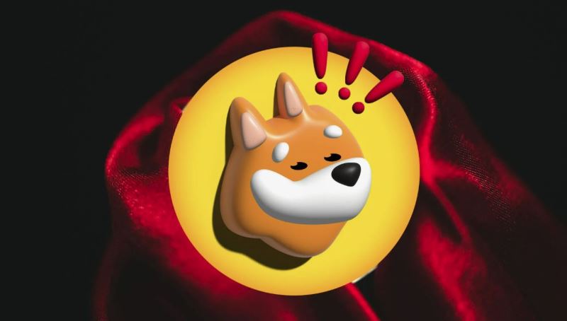 邦克（BONK）