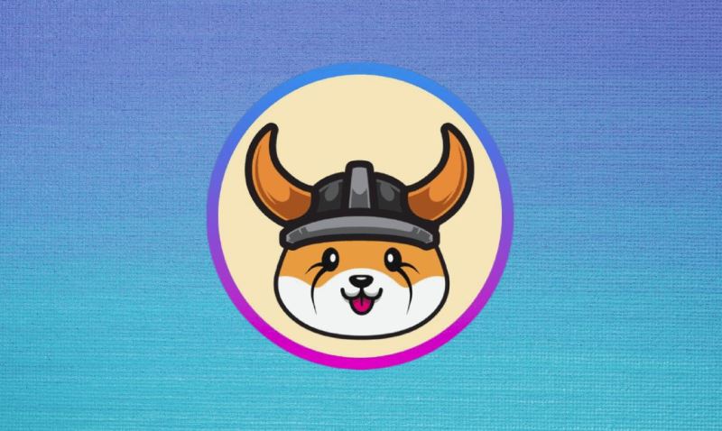 弗洛基 (FLOKI)