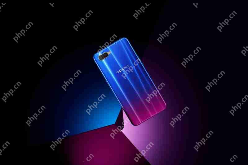 在OPPO R15x中怎么设置通知栏显示流量？设置通知栏显示流量的方法讲解