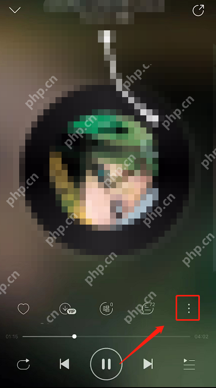 网易云音乐怎么开启黑胶打碟？网易云音乐开启黑胶打碟方法