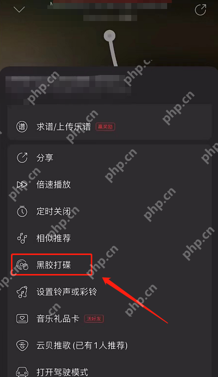 网易云音乐怎么开启黑胶打碟？网易云音乐开启黑胶打碟方法