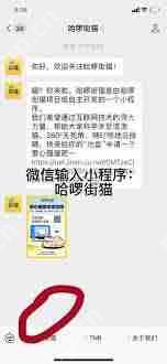 街猫app怎么搜索用户-街猫app添加关注用户的方法