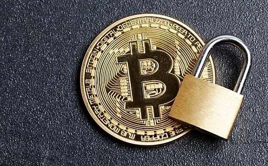 ZEC币：隐私保护与投资潜力