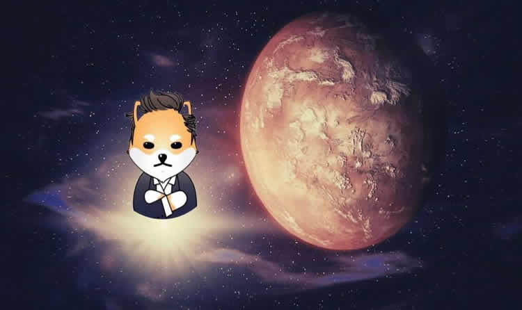 Dogelon Mars(ELON)币是什么?未来如何?ELON币价格预测