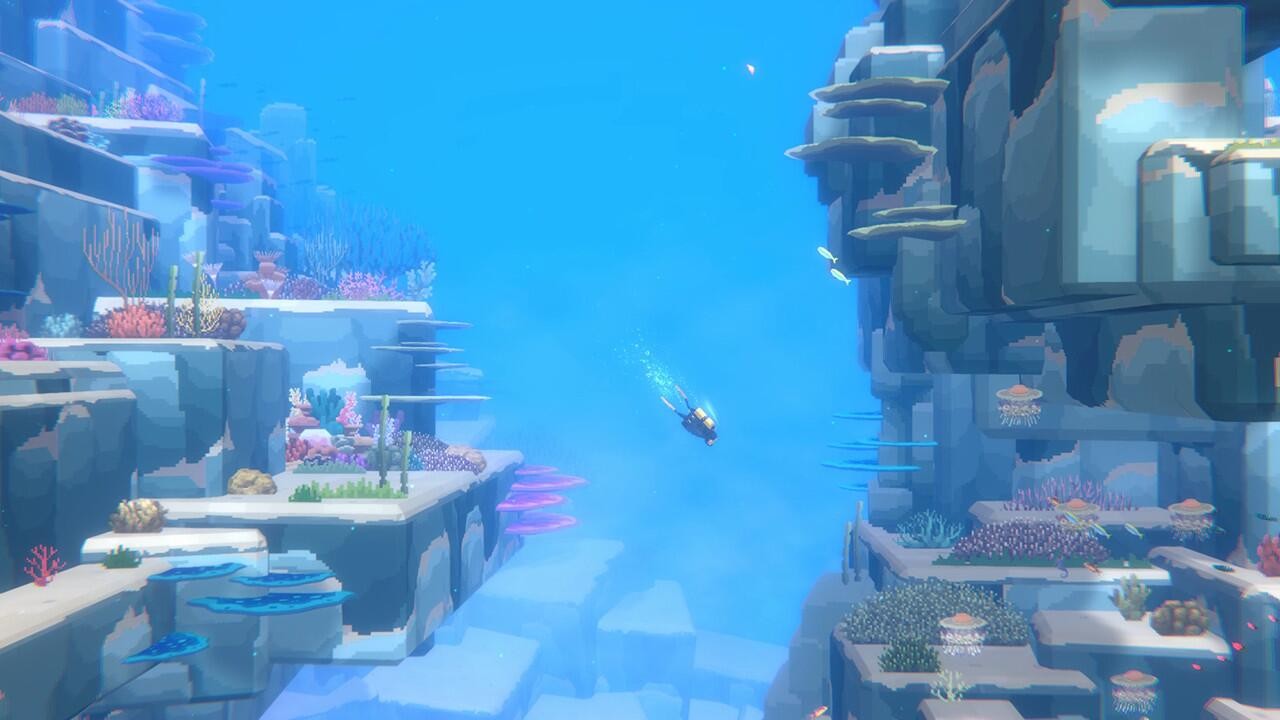 潜水员戴夫免费版