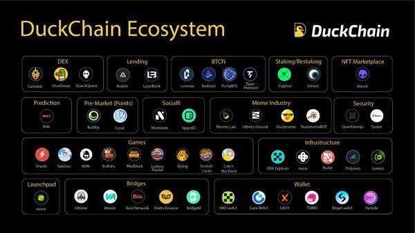 DuckChain(DUCK)币是什么？DUCK代币经济学及路线图详解