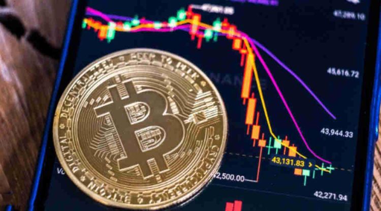 自己的提币地址在哪里查看？究竟如何查看？