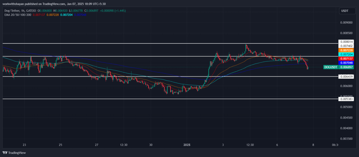 DogGoToTheMoon价格预测:DOG币价格真的会去月球吗？