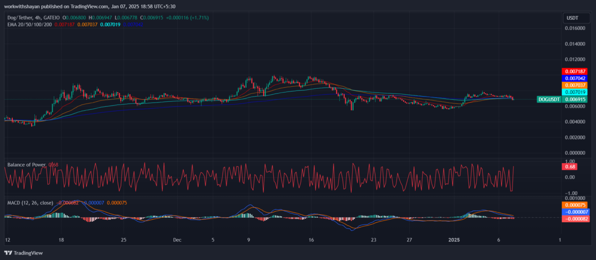 DogGoToTheMoon价格预测:DOG币价格真的会去月球吗？