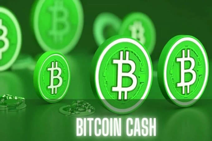 比特现金潜力大吗？比特现金怎么玩？