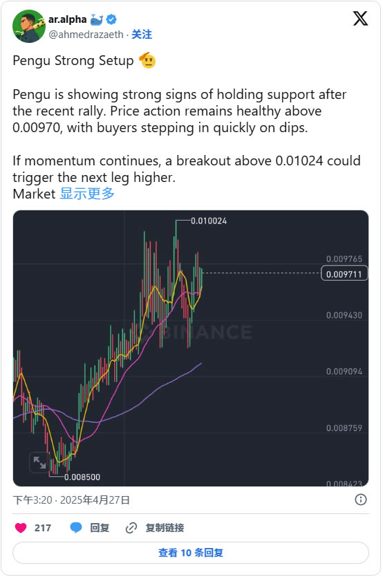 Pudgy Penguins(PENGU)币是什么？PENGU币空投及未来价格预测