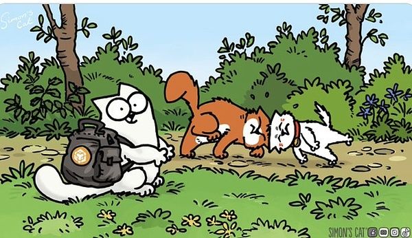 解读Binance HODLer第4期空投项目Simon's Cat(CAT)
