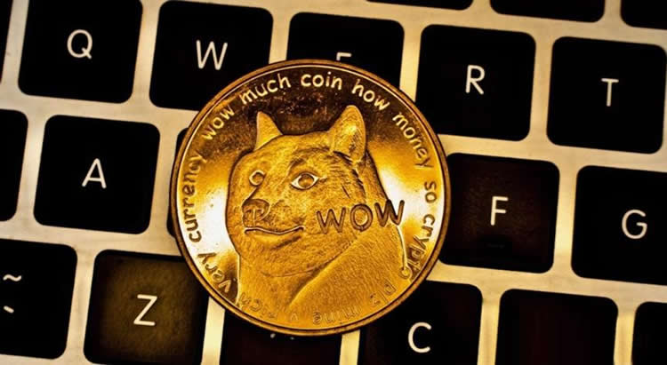 狗狗币(DOGE)现在还能入手吗？今年能否跨过0.5美元,冲到1美金吗？