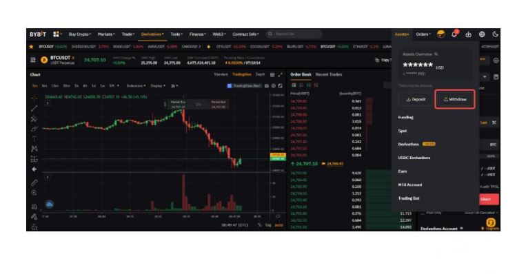 Bybit交易所提币好提吗？提币快吗？