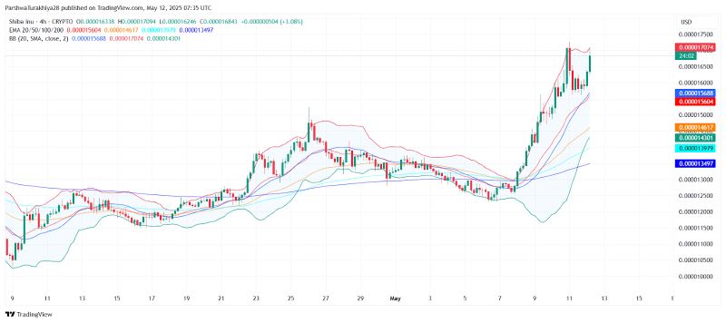 SHIB今日价格预测:BTC达到12.5万美元,SHIB能达到0.0001美元吗?