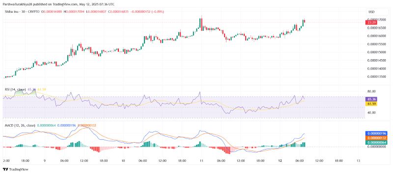 SHIB今日价格预测:BTC达到12.5万美元,SHIB能达到0.0001美元吗?
