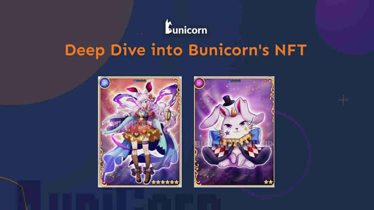 BUNI是什么币种？BUNI币未来前景分析