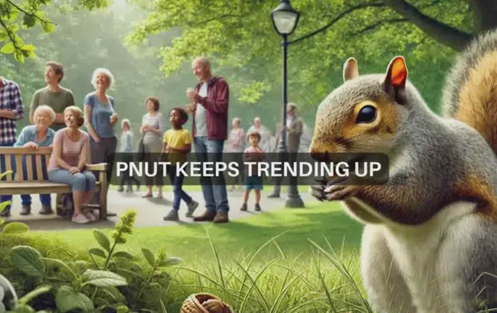 花生松鼠PNUT币 现在入手是机会吗？PNUT币值得投资吗？