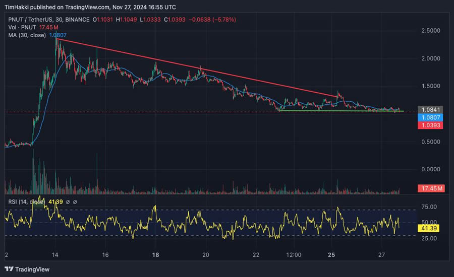 松鼠迷因币$PNUT是什么？PNUT币未来价格预测
