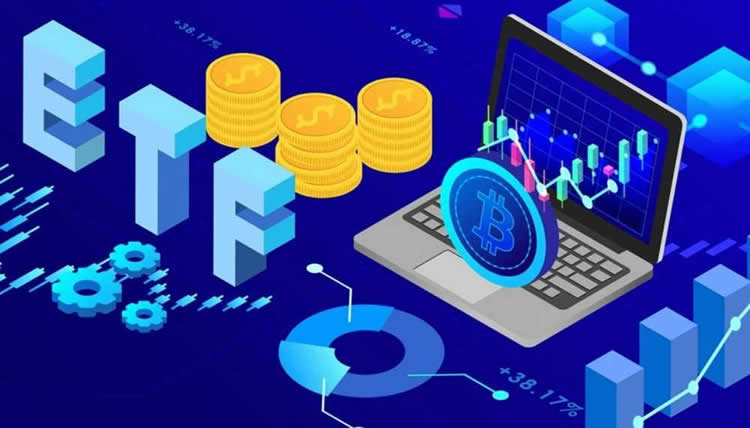 2025年各个领域的龙头币有哪些？