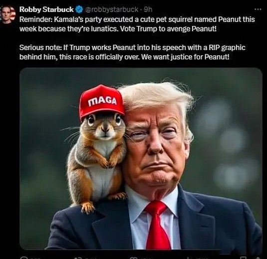 PNUT最近为何暴涨？从安乐死到拯救美国Peanut的前世今生