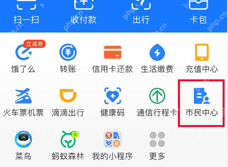支付宝返乡报备记录怎么看