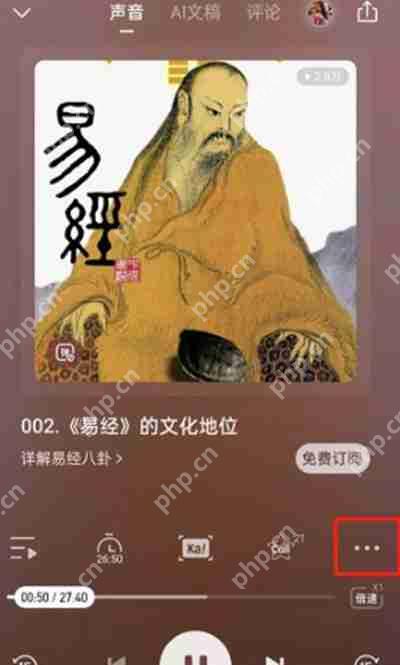 喜马拉雅驾驶模式开启方法