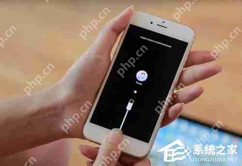 苹果iPhone手机忘记密码怎么办？忘记密码解决方法详解
