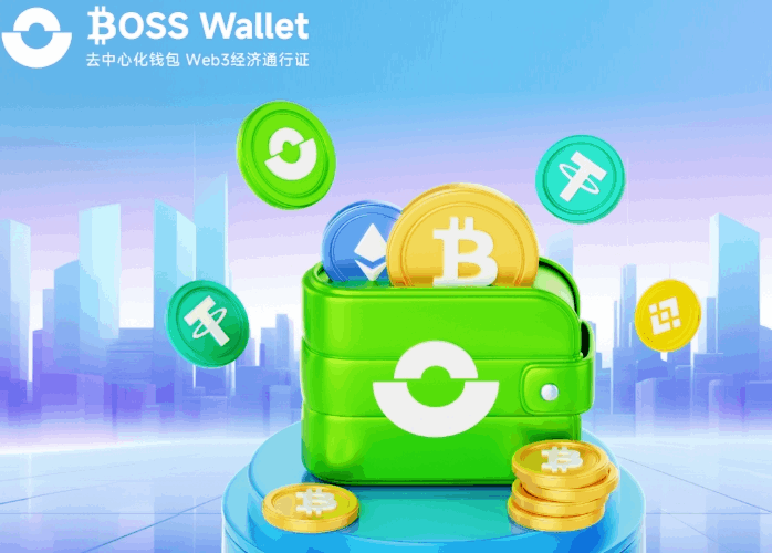 一文详解USDT可以放冷wallet吗