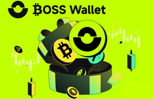 国内如何购买USDT?购买的USDT存什么wallet好