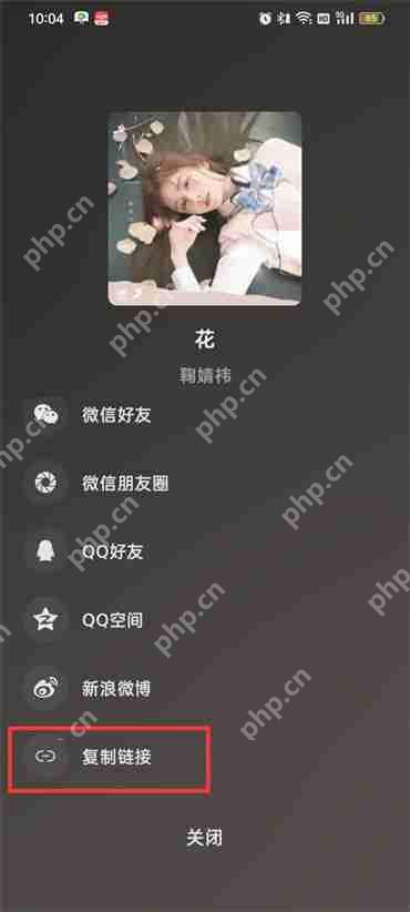 汽水音乐怎么复制歌曲链接